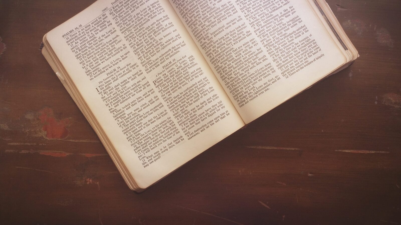 An open Bible lit by warm, dramatic light